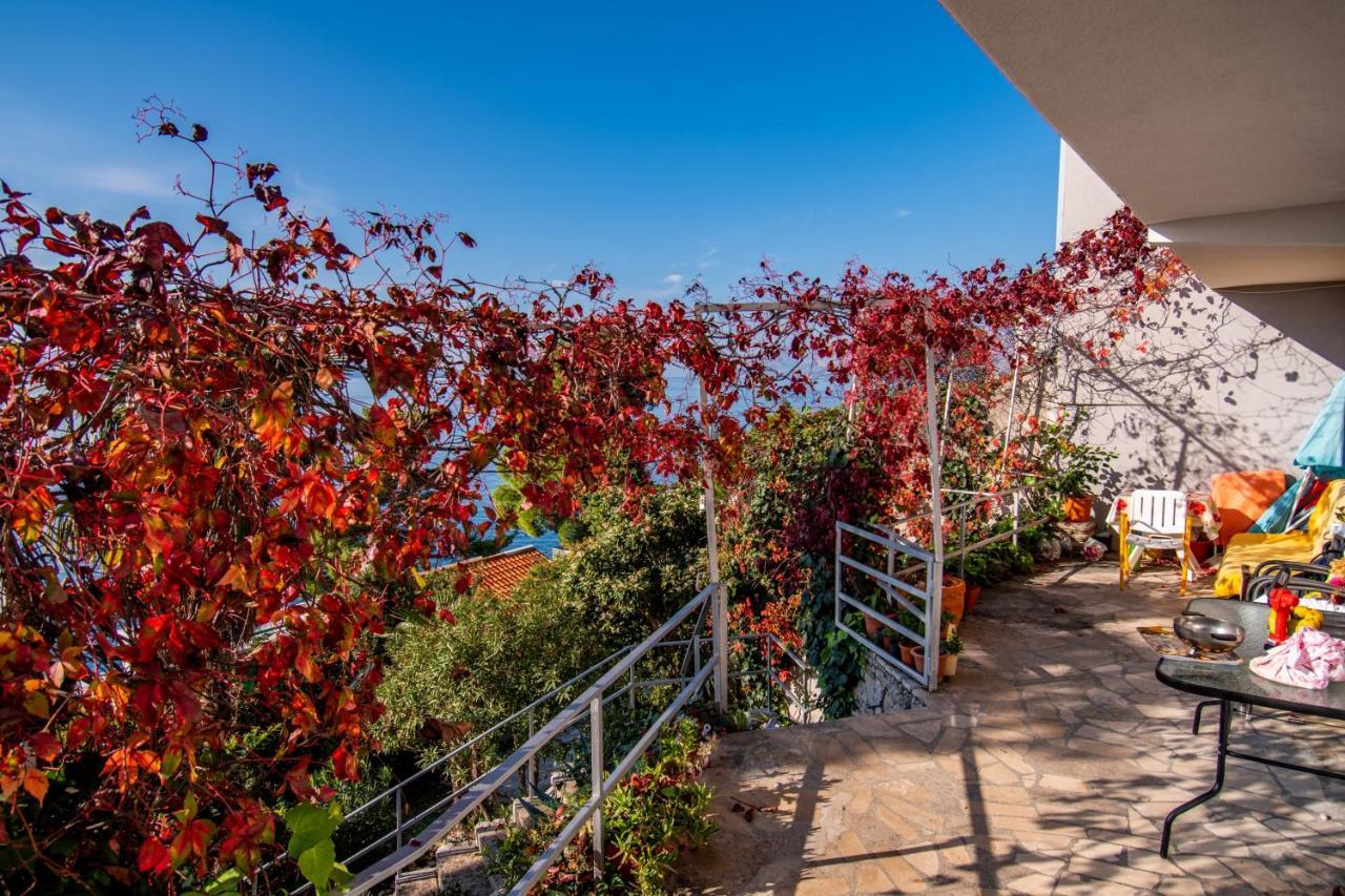 Apartments Tolic Baška Voda Extérieur photo
